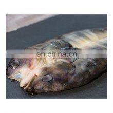 Good quality IQF gutted whole frozen atka mackerel fish