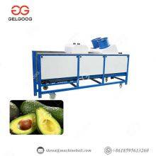 Avocado Fruit Washing Grading And Waxing Processing Line Avocado Washing Machine thumbnail-3