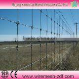Cattle Woven Wire Mesh Fencing