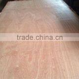 Plywood Hanoi Vietnam - SAVI thumbnail-3