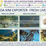 FROZEN WHOLE BABY OCTOPUS VULGARIS CLEANED BABAY OCTOPUS SHRIMP TIDA KIM LOPSTER VIETNAM FISH FILLETS BASA FRESH ALIVE NATURAL thumbnail-3