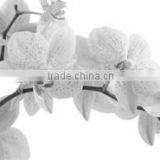 2016 Black and White Flower Stretched Canvas Prints