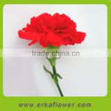No pullution carnation cut flowers for sale