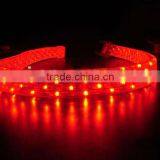 5 Flat LED Rope,color Chaging LED Rope Light thumbnail-1