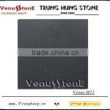 Vietnam Bluestone Honed