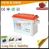 China Best 36v 12v 24ah Electric Rickshaw Electric Bike Battery thumbnail-5