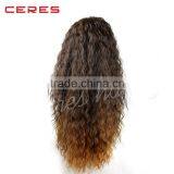 Top Quality 100% Human Hair Wigs Factory Wholesale Lace Frontal Wig for Afro Americans thumbnail-4
