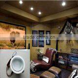 CE,RoHS Passed Round Led Ceiling Lamp