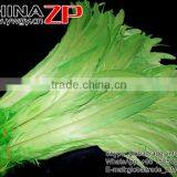 Leading Supplier CHINAZP Bulk Sale 35-40cm Length Cheap Colored Green Fully Dyed Rooster Chicken Feathers thumbnail-5