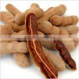 Tamarind Gum Kernel Powder - Food Ingredients