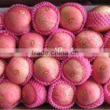 Superior Fresh Fuji Apple With High Quality thumbnail-2