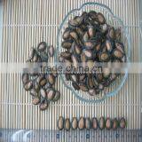 Chinese Delicious Wholesale Black Watermelon Seed