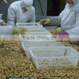 IQF Nameko thumbnail-6