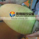 FXP-99 Automatic Pawpaw Peeling Machine and Pineaspple Skin Peeling Machine With 304 Stainless Steel thumbnail-4