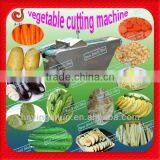 2014 Trade Shows for Vegetable and Fruit Slicer