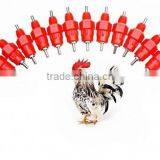 Made in China Quail Cage and Water System thumbnail-4