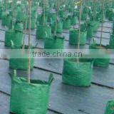 Tree Planting Bag thumbnail-4