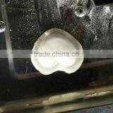 Commerical Making Machine/small Electric Dumpling Machine thumbnail-4