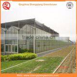 High Quality 12m Multi-span Glass Greenhouse Grow Tent for Vegetables thumbnail-5