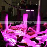 MCOB Plant Grow Light Lamp for Greenhouse Hydroponics Greenhouse Ideal to Replace the HPS HID thumbnail-5