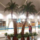 SJ12001204 Plastic Palm Tree/ Big Palm Tree/home Garding Indoor Palm Tree thumbnail-4
