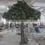 Hot Sale Artificial Ficus Tree in Factory Price thumbnail-2