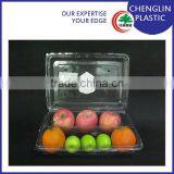 Clear Blister Disposable Plastic Fruit Container thumbnail-1