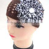 Gerbera Daisy Flower thumbnail-2