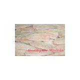 Sell Bluewhiting Fillets IQF or Block Frozen thumbnail-1