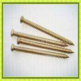 Torx Head Frll Thread Concrete Screws thumbnail-1