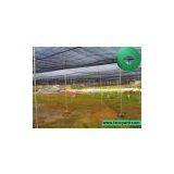 Anti-weed Net, Shade Net, Insect Net thumbnail-3