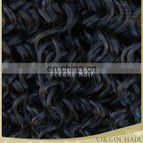 Virgin Brazilian Curly Hair Tight Curly Hair Hair Extension Kinky Curly thumbnail-6