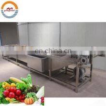 Automatic herb washing machine auto leaf lettuce industrial air bubble washer cleaning equipment cheap price for sale
