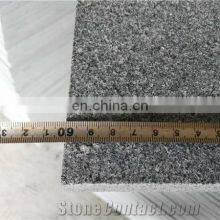 Quarry Owner Granite Stone Interior Decorative Wall Tile