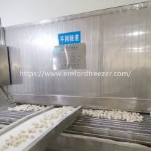 Mesh Belt Tunnel Freezer for Shrimp, Poultry, Meat, Pastry, Pasta, French Fries