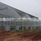 200Micro Agricultural Greenhouses for Tomato thumbnail-3