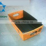 chloroplast pp boards Box Custom