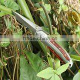 4" Closed Pakkawood Onlay Handle Serrated Silver Utility Knife thumbnail-1