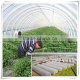 Anti uv pp spunbond nonwoven fabric for agriculture
