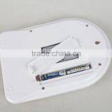 Electronic Kitchen Scale Express in Electronics thumbnail-5