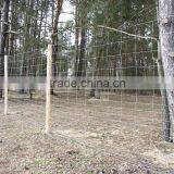 Field Fence / Sheep Fence / Grassland Fence