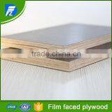 Building Templates ,Construction Plywood Film Faced Plywood thumbnail-1