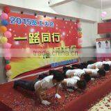 Yiwu Peng Hao Stationery Co., Ltd. company overview - view 2 thumbnail