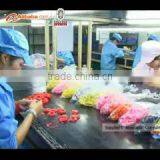 Shenzhen Flitome Technology Co., Ltd. company overview - view 2 thumbnail