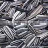Chinese Sunflower Seeds Sandaomei for Sale