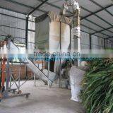 Viet Nam Corn Silage for Animal Feed