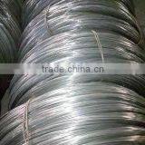 3mm Diameter High Tensile Electro Galvanize Iron Wire