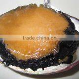 Fresh Live Abalone for Sale