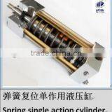 Professional Spring Return Hydraulic Cylinder