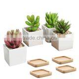 Ceramic Cactus Pot, White Gloss thumbnail-1